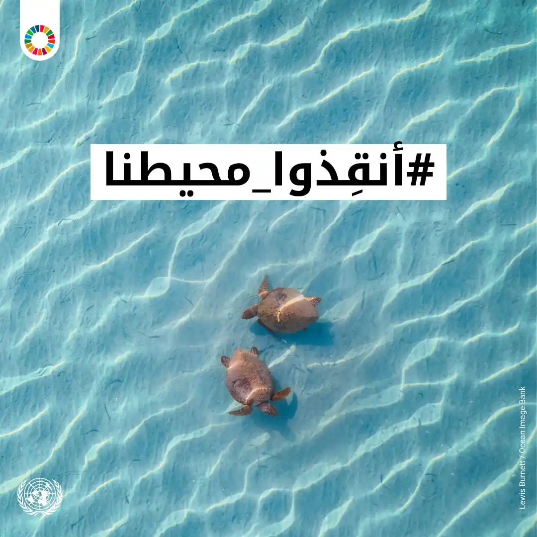 الأمم المتحدة 🇺🇳  post