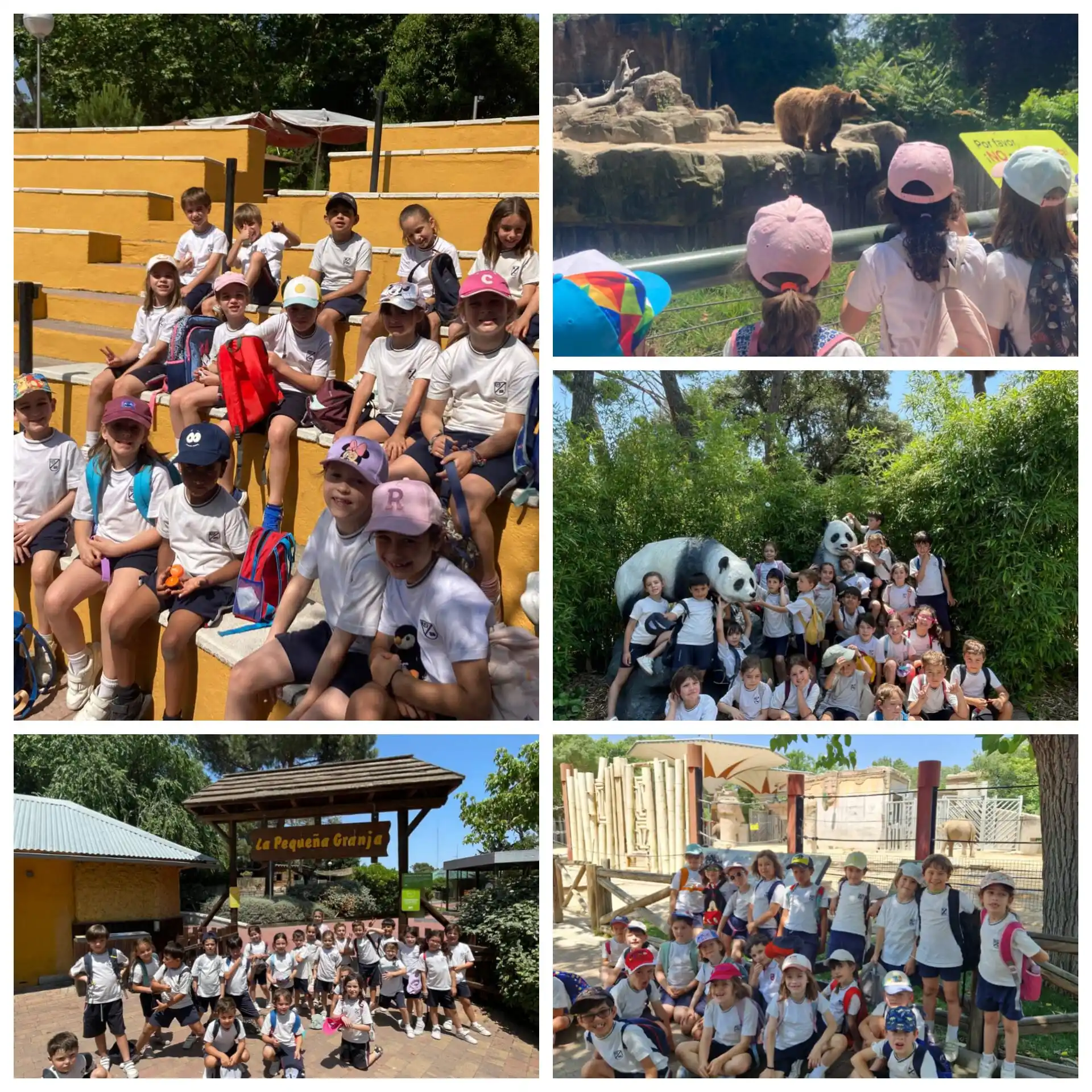 Image from Colegio Educare Valdefuentes: "¡Día de aventuras en el zoo! 🤩🦁 Los niños de 1° de primaria disfrut...