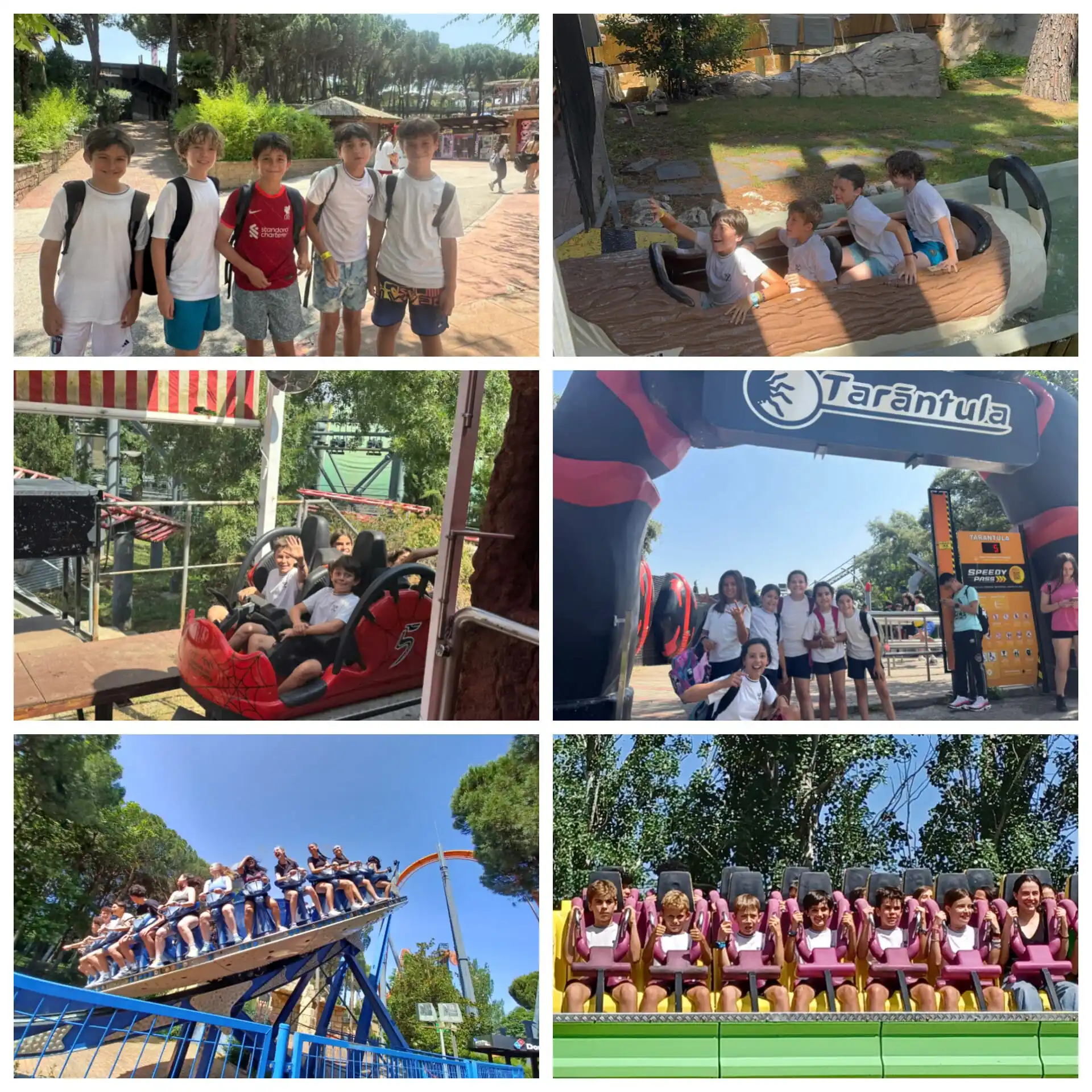 Image from Colegio Educare Valdefuentes: 🎢✨ ¡Día increíble para los alumnos de 5º de Primaria! 👧👦 Han disfru...