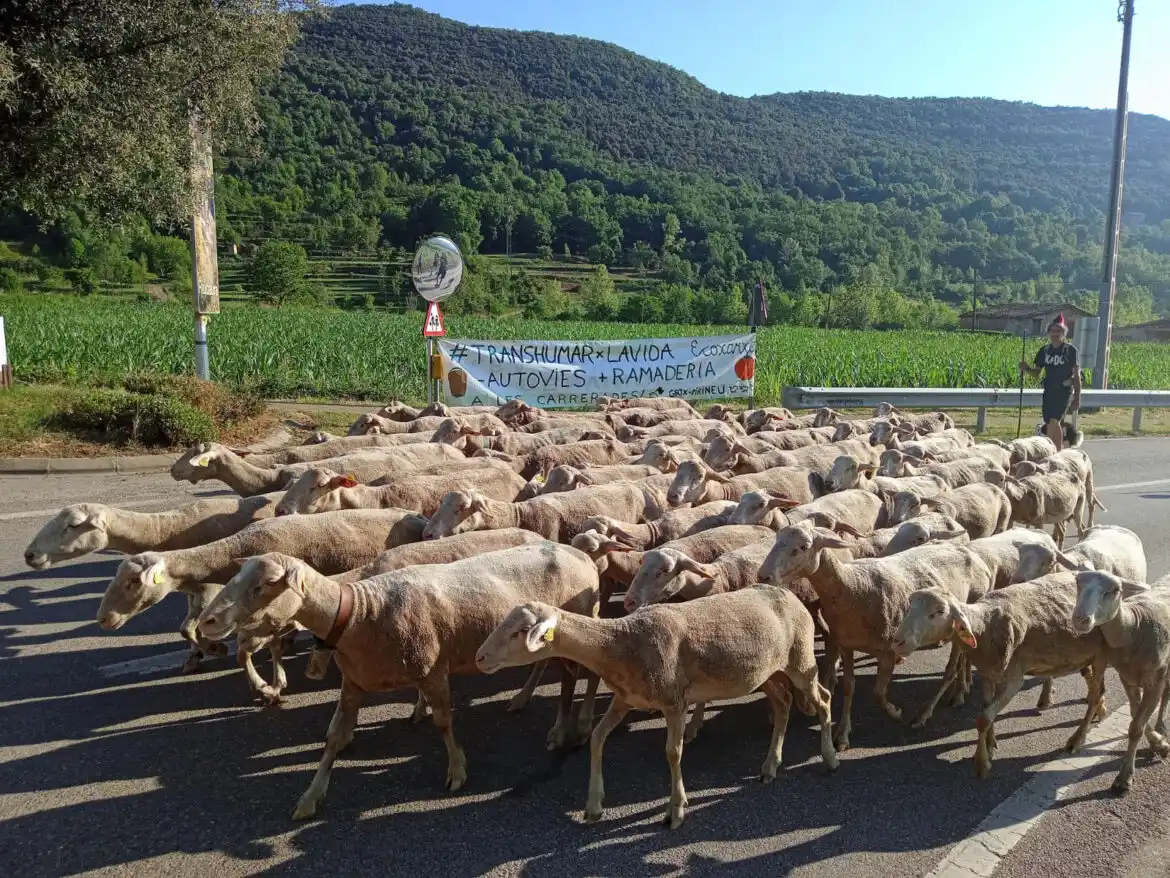 Ajuntament de la Vall d'en Bas post