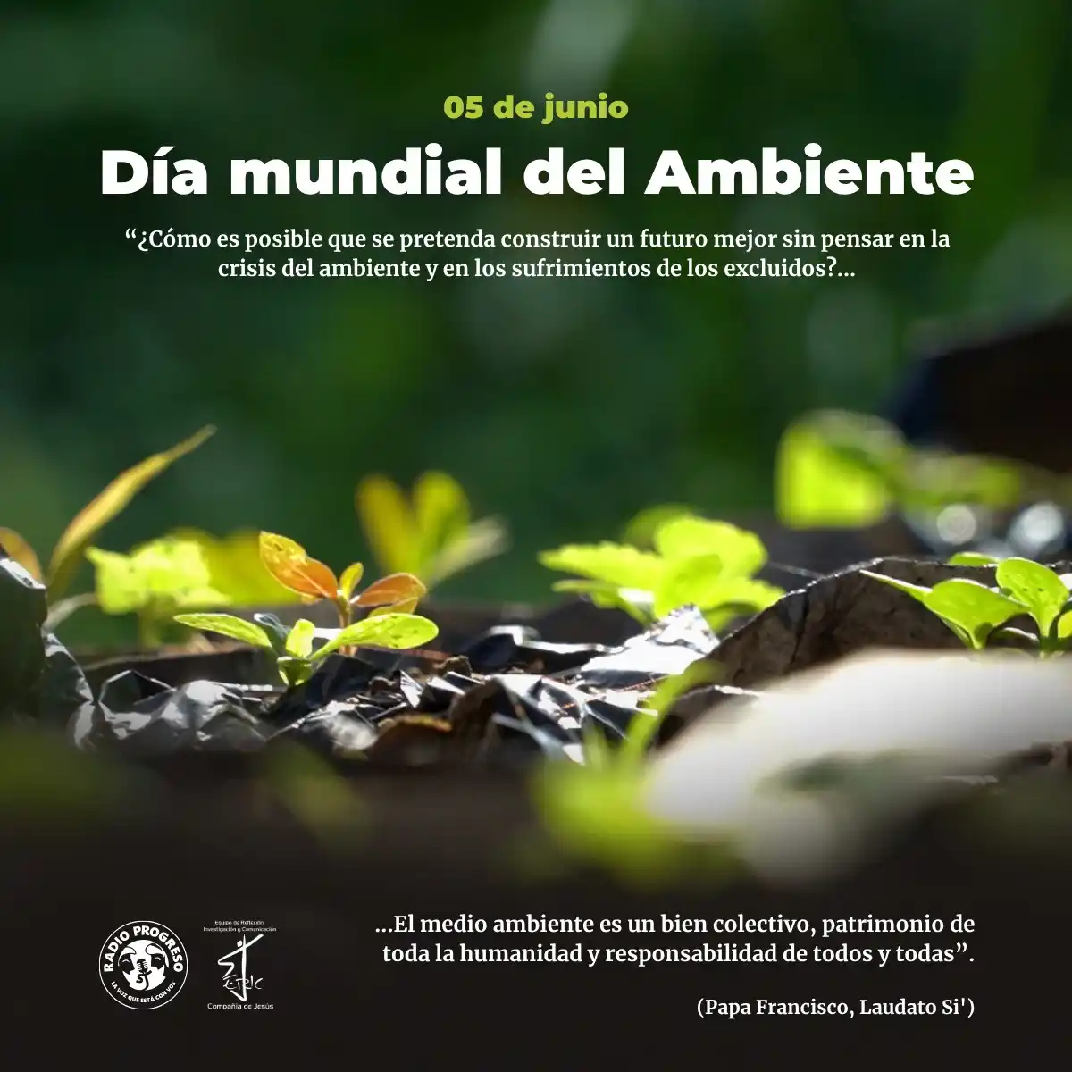 Image from Radio Progreso HN: 🌍🌱 En el día mundial del Ambiente, es necesario que reflexionemos ¿q...