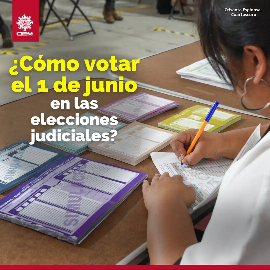 Image from EL SOL DE TAMPICO: 🗳 Este domingo se elegirá en las urnas a los nuevos integrantes del P...