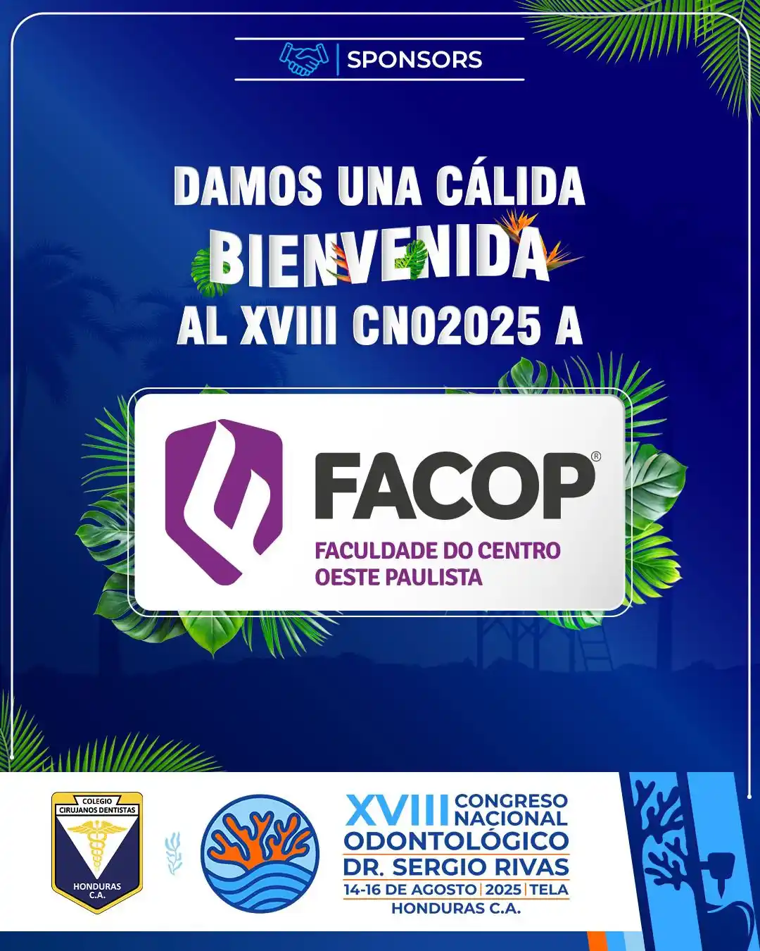 Image from CCDH | Difusión: 🌟🤝 ¡facopinternacional se suma al <a class="text-blue-500 hover:unde...