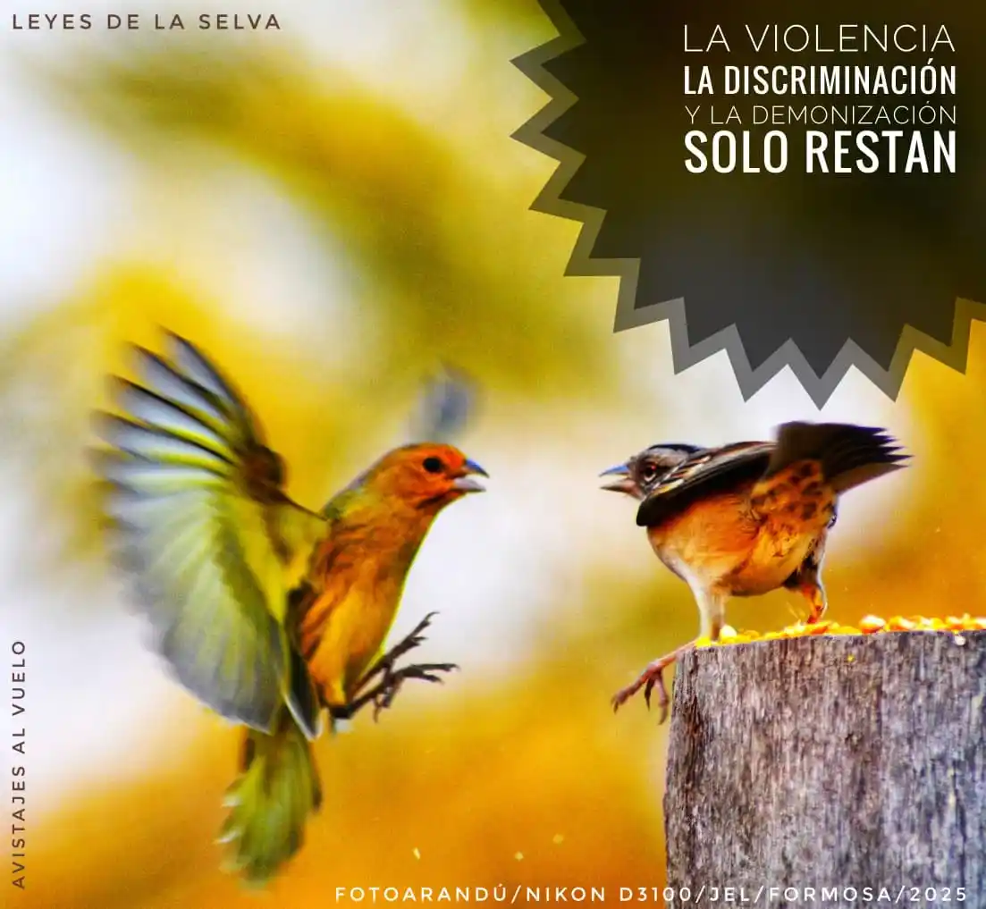 Image from RELATOS☕🧉RESEÑAS: [ `FOTOARANDÚ + EFEMERIDES FUNDAMENTALES`]✍🏼🧉  [ `12 DE JUNIO`] _"*M...