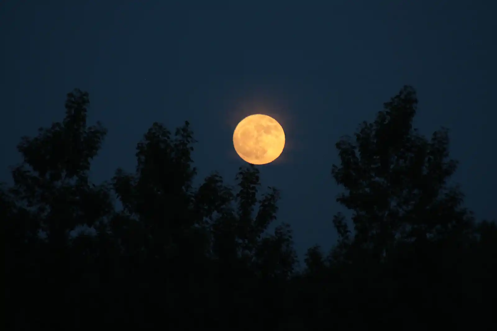 Image from El Bierzo Digital: *FOTOGALERÍA | La Luna de Fresa deslumbra en su ciclo más bajo* https:...
