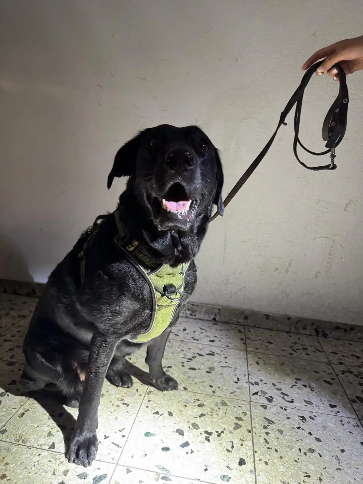 Polizei Wolfsburg post