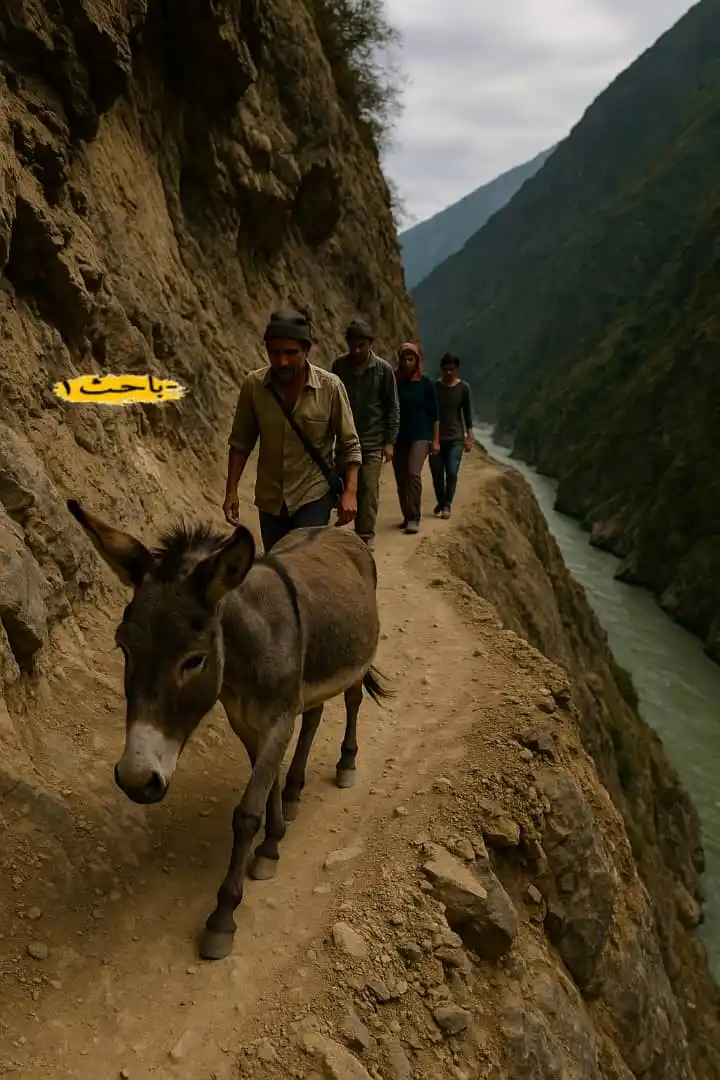 الباحث١ | ALBAHITH1💛🌍 post