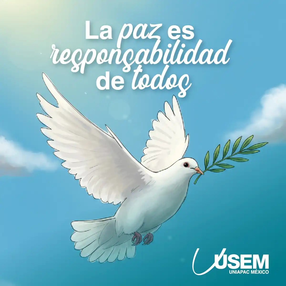 USEM Uniapac México post