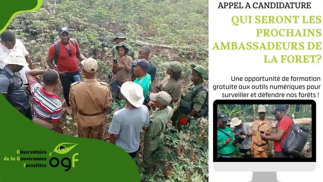 Image from Offre D´emploi RDC 🇨🇩: 🌿 LANCEMENT DE L’APPEL À CANDIDATURES — CONCOURS “AMBASSADEUR DE LA F...