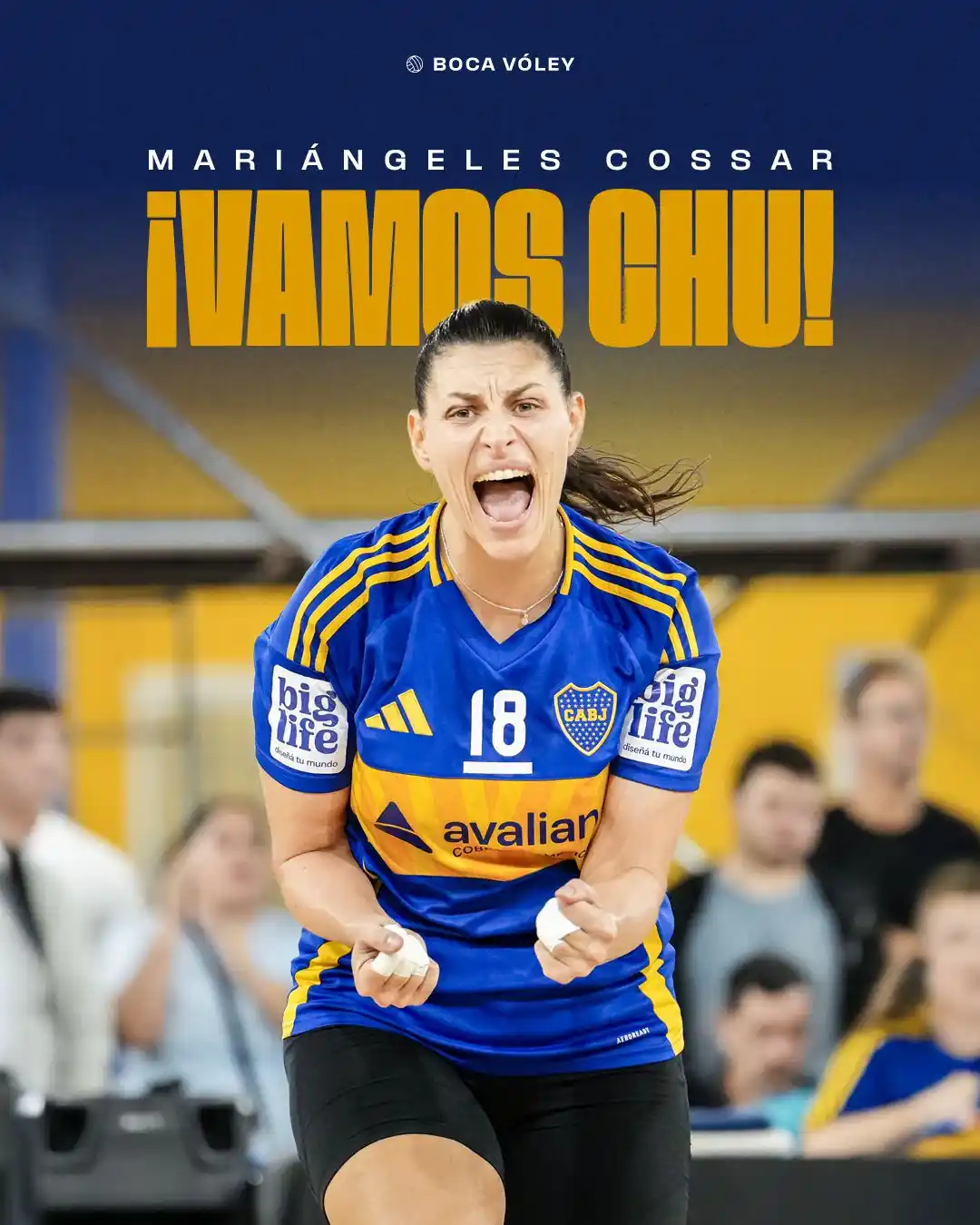 Boca Vóley 🏐 post