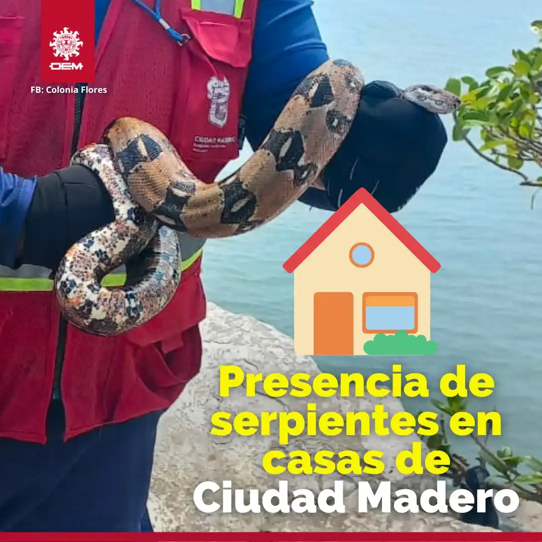 Image from EL SOL DE TAMPICO: *🌡️ ¡LO QUE HACE EL CALOR! 🥵* 🏘️Ante las *altas temperaturas* que ...
