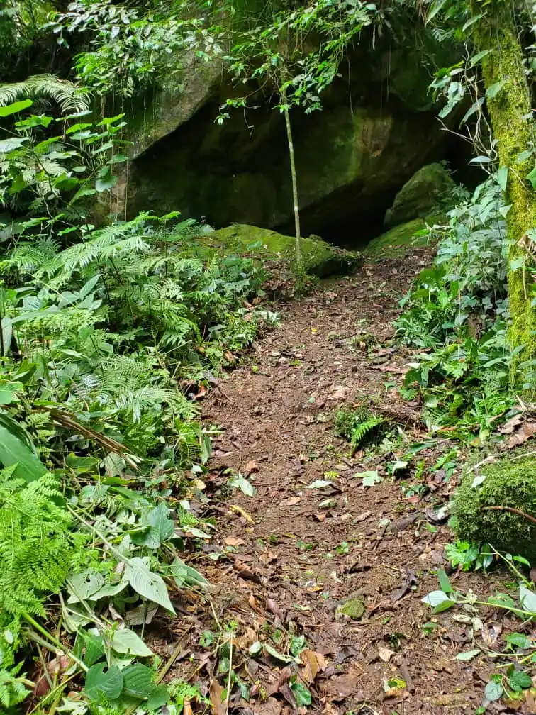 MKINGU NATURE RESERVE (Eco Tourism Area ) post