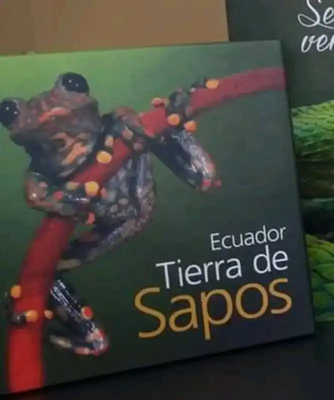Image from Música🤑🐢: Pero peor son los de Quininde 😤...