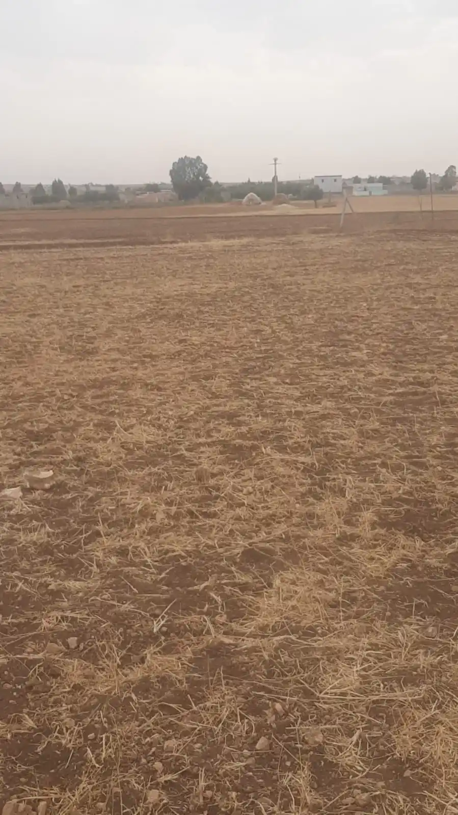 أحلى متابعين AZAL CHOP post