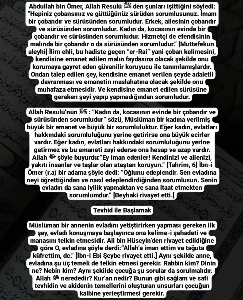 Image from {Sevim Hoca ✍🏼} İSLAMİYETE DAİR HERŞEY: ❗️TEVHİDİN ANLAMLARI ✒️ 1- Allah'tan başka yaratıcı yoktur . 2- Alla...