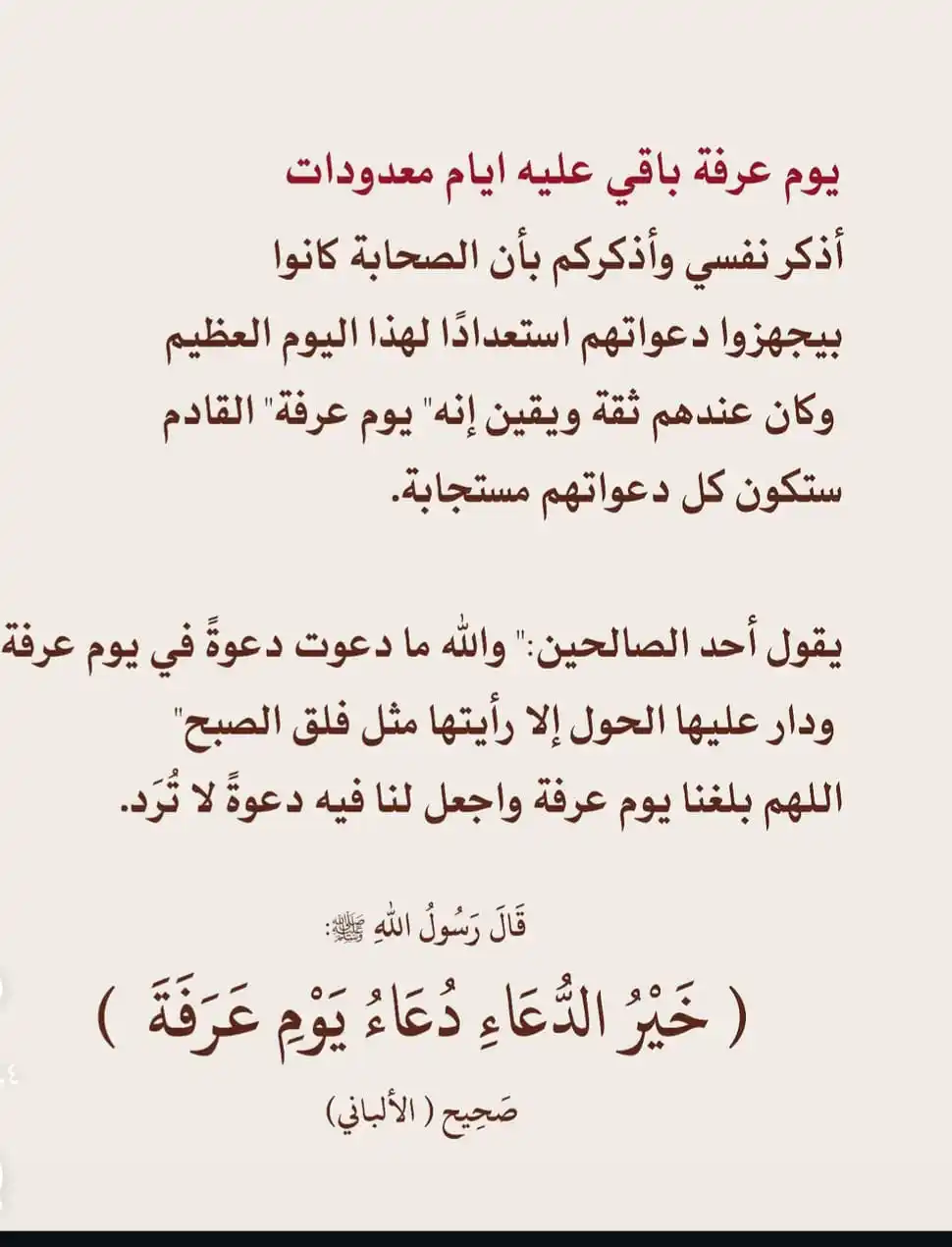 "شِرَاع" رانيا محمد post