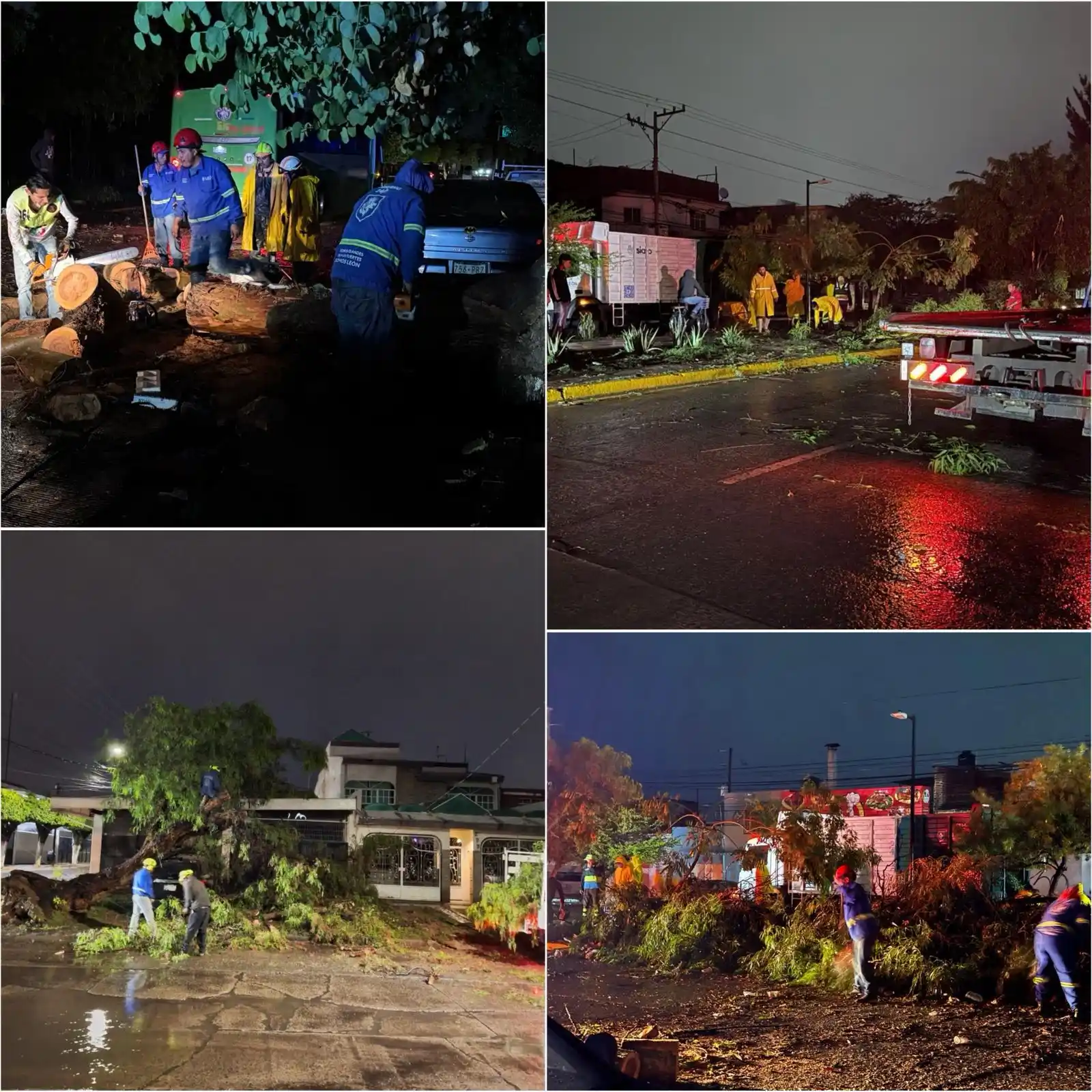 Entérate León 🦁 post