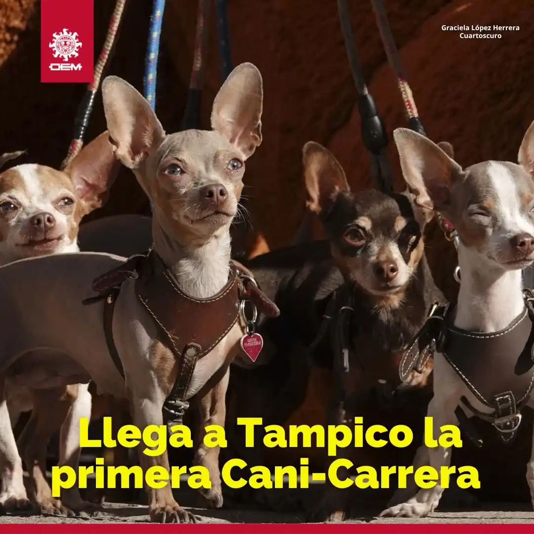 Image from EL SOL DE TAMPICO: 🐾 *UNA CAUSA NOBLE 💛* 🏁Este *15 de junio* , vive la magia de corr...