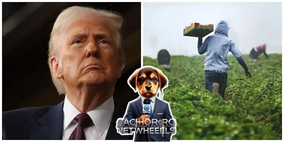 Image from El Cachorro TV: 🚨ATENCIÓN 🚨 Donald Trump admite que su dura política migratoria afe...