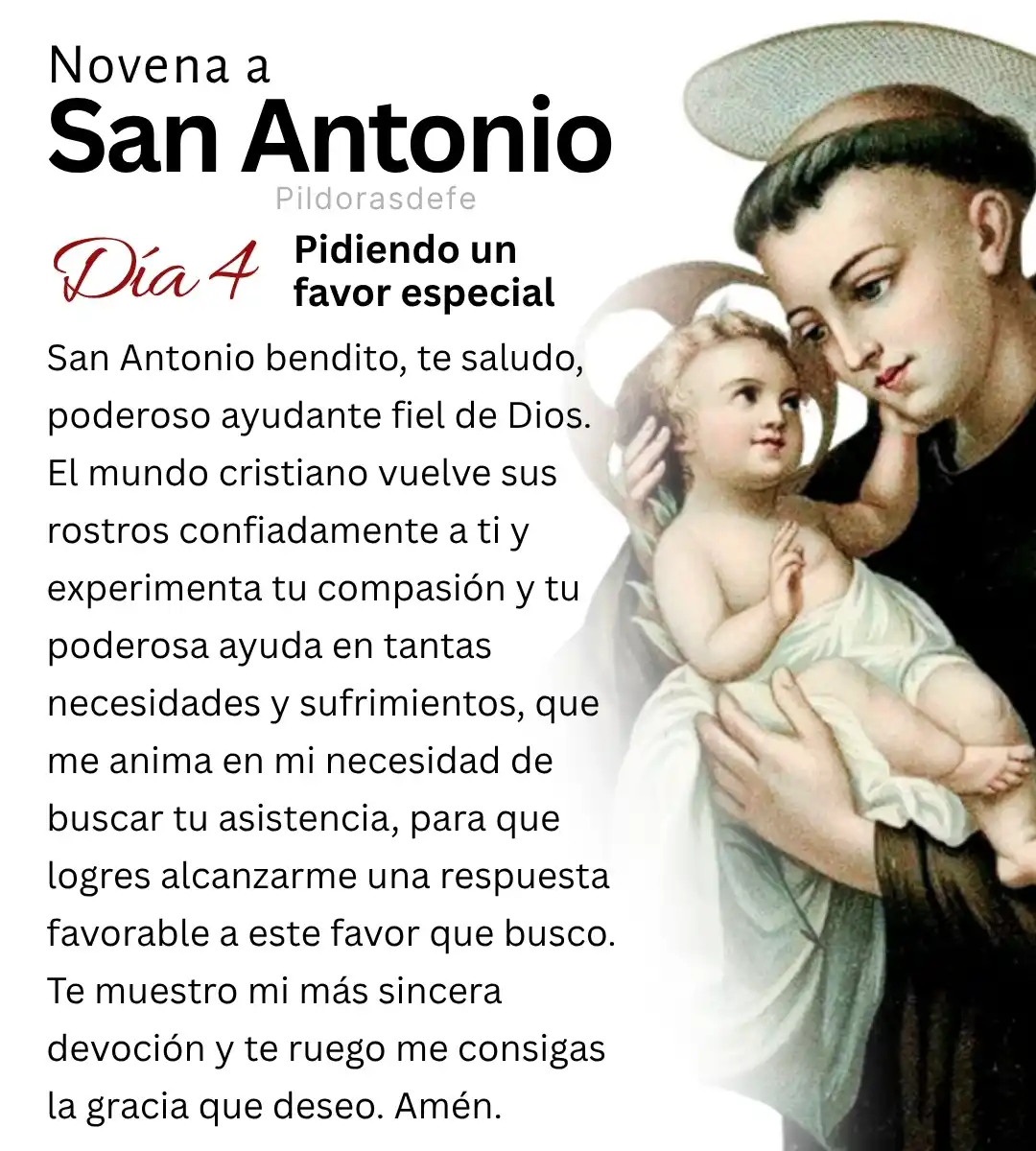 Image from Píldoras de fe: *(Día 4) Novena a San Antonio de Padua* |  Descubrir los propósitos de...
