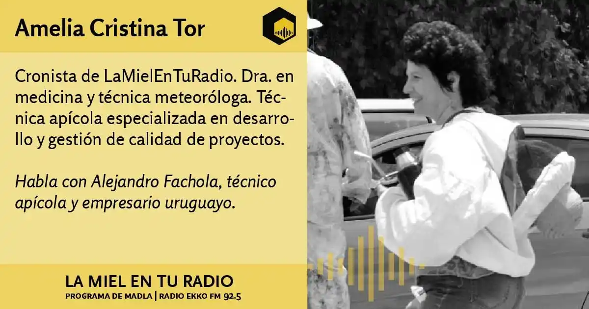 Image from La Miel en tu radio: En la <a class="text-blue-500 hover:underline cursor-pointer" href="/h...