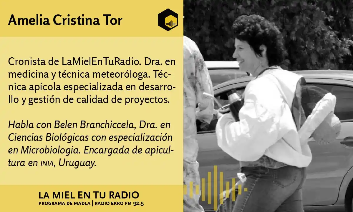 Image from La Miel en tu radio: En la <a class="text-blue-500 hover:underline cursor-pointer" href="/h...