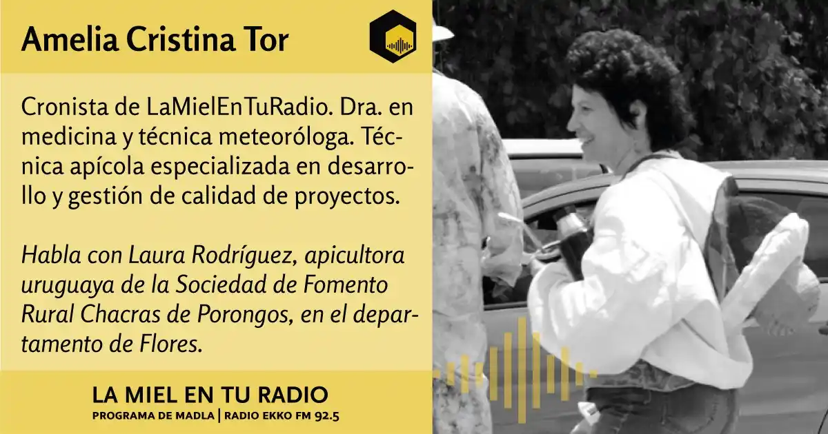 Image from La Miel en tu radio: En la <a class="text-blue-500 hover:underline cursor-pointer" href="/h...
