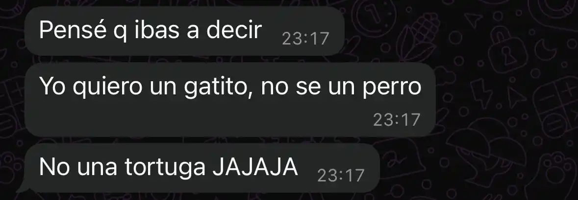 Image from evvsodera🎸: en mi otra vida fui una tortuga...