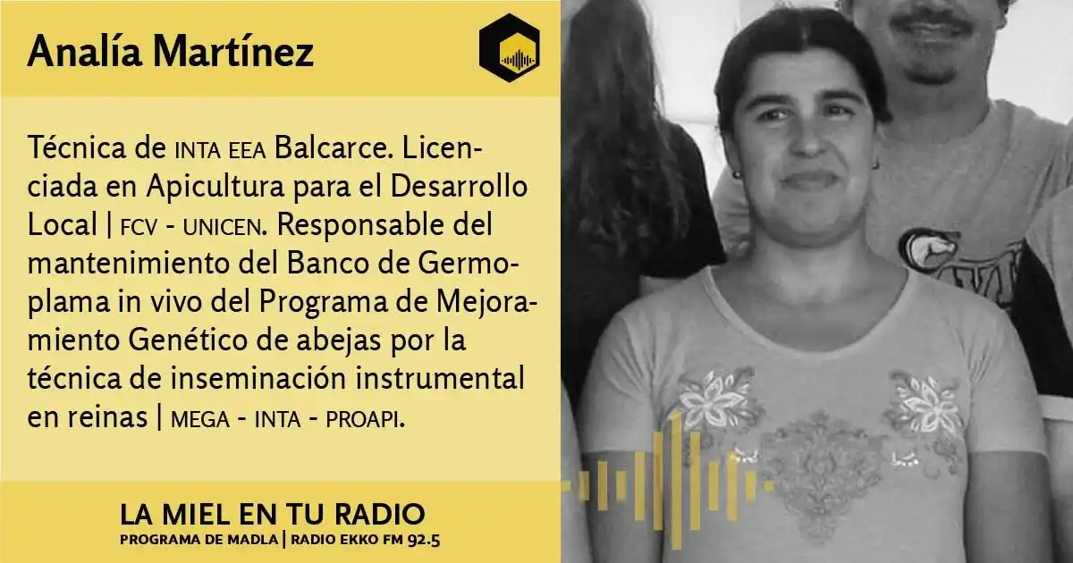 Image from La Miel en tu radio: Entrevista a <a class="text-blue-500 hover:underline cursor-pointer" h...