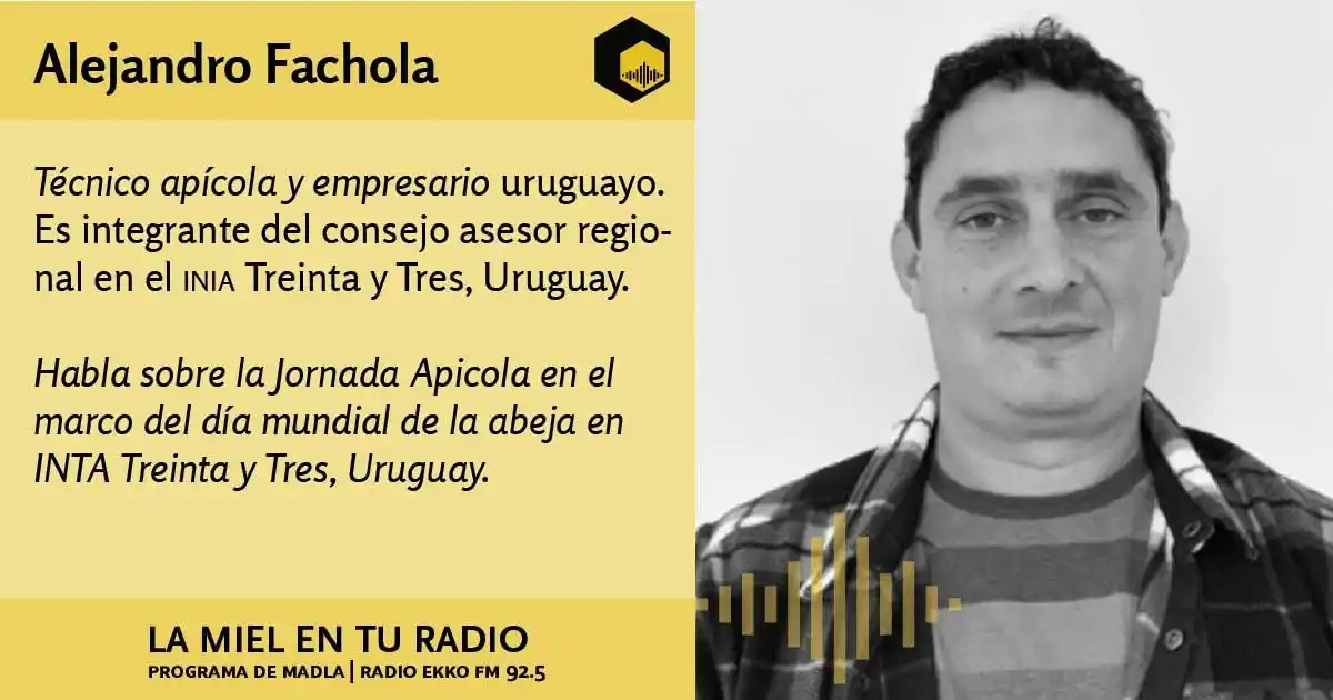 Image from La Miel en tu radio: Entrevista al técnico apícola <a class="text-blue-500 hover:underline ...