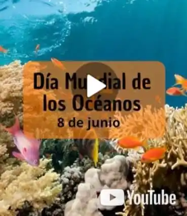 Image from Ambiente Sostenibilidad VE: https://youtube.com/shorts/ObIIXORACUE?si=TiVjVNm4C0Cf3C7D *Curiosidad...