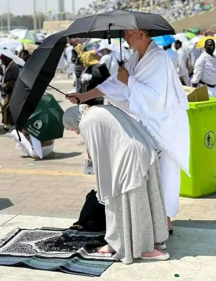 Image from اهدِنَــــا الصِّرَاطَ المُستَقِيمَ🕯️💫
Maybe A Reminder From Here Will Change Your Life 🤲🏻: If the rain that touches your skin has travelled miles to find you, th...