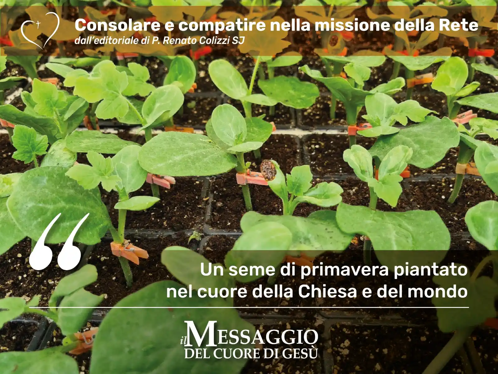 Image from Rete Mondiale di Preghiera del Papa in Italia: La disponibilità alla missione di compassione è il tratto caratteristi...