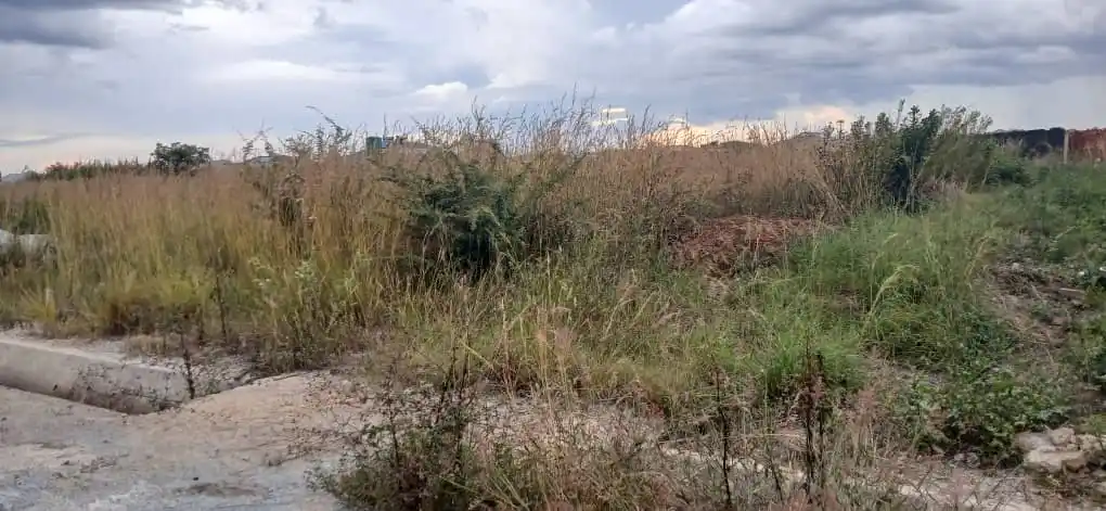 Image from maproperty 🏚️: Penrose, Nyabira Stand For Sale Stand Size: 300 square metres Paperwo...