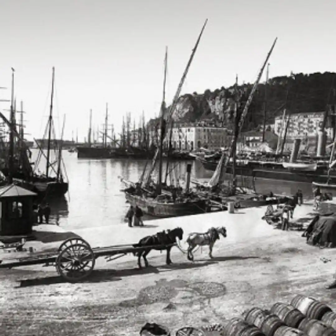 Image from Nice-Matin: <a class="text-blue-500 hover:underline cursor-pointer" href="/hashtag...