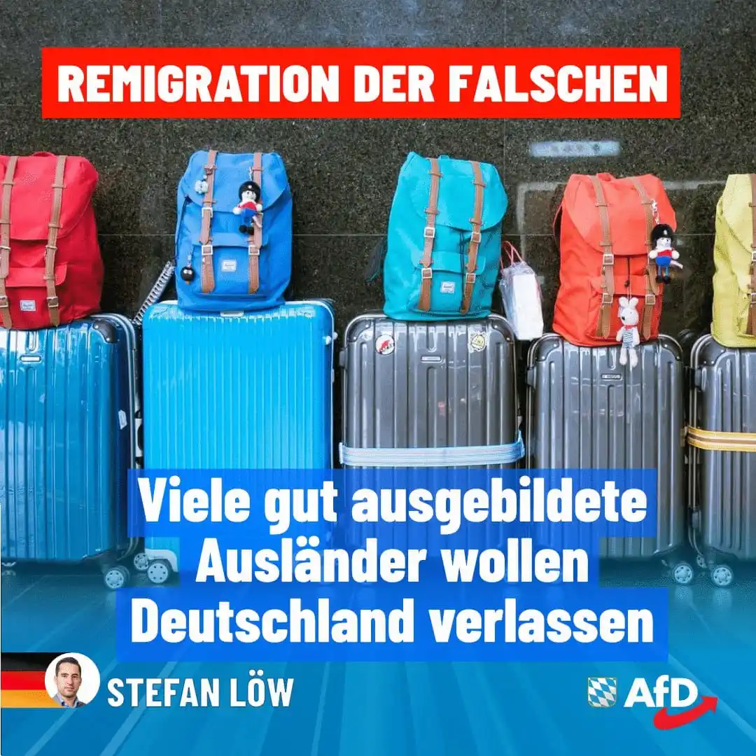Image from AfD Weiden-Neustadt-Tirschenreuth: Remigration: Ein Viertel der gut ausgebildeten Ausländer denkt darüber...