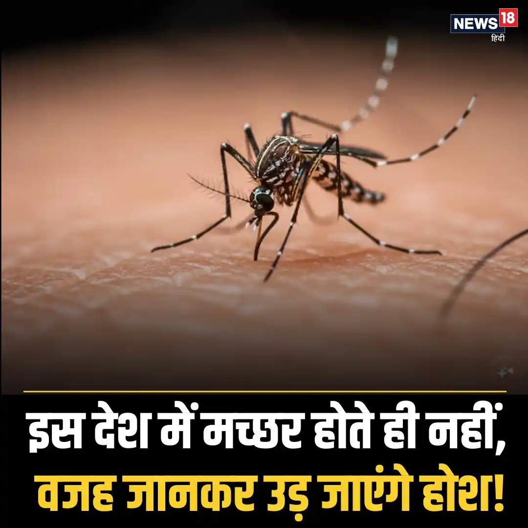 Image from News18 India: *दुनिया के इस देश में नहीं हैं एक भी मच्छर, वैज्ञानिक खुद चकराए कि ऐसा...