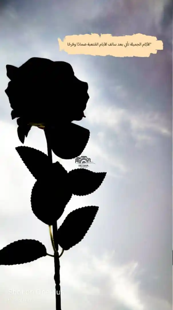 Image from تصوير: <a class="text-blue-500 hover:underline cursor-pointer" href="/hashtag...