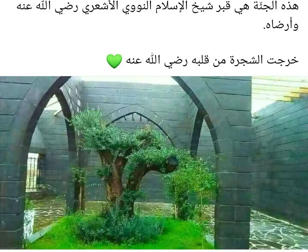 Image from 🇵🇰Deen 🇵🇸 Vision🇧🇩: *"یہ جنت نما جگہ امام النووی اشعری رحمۃ اللہ علیہ کی قبر ہے۔* یہ درخ...