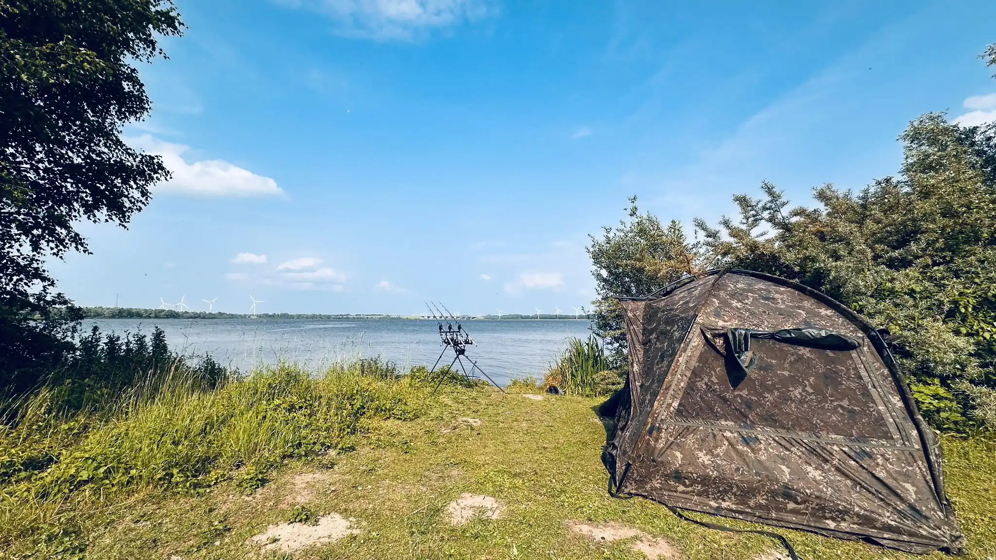 CARPY BACKSTAGE post