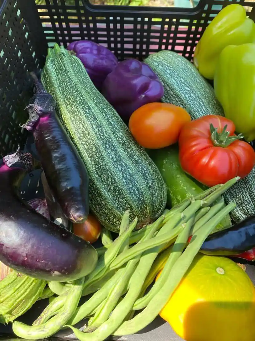 Image from NUTRITIONIST HENRY: *🥴Feeling Sluggish After Lunch?* It’s 2 PM, and that post-lunch dow...