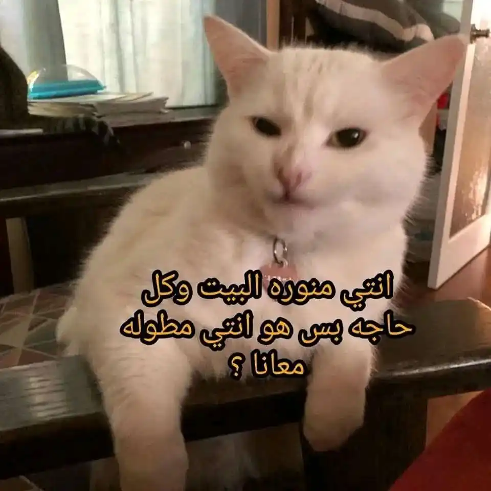 Image from Just a girl 🎀.: لما اقولهم في البيت عايزه اغير ديكور اوضتي واظبطها...