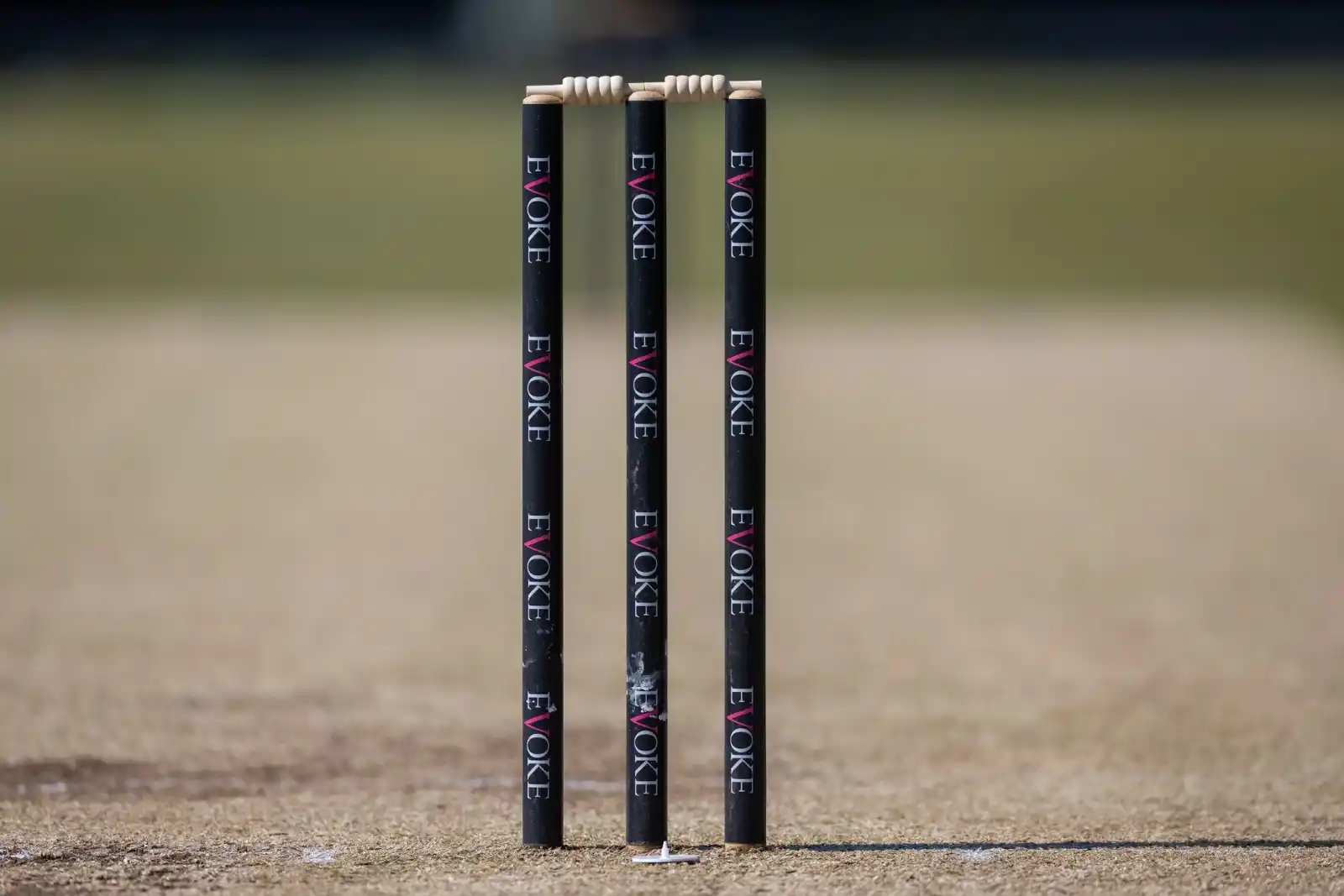 Image from Cricket Ireland ☘️🏏: █▓▒▒░░░MATCH NEWS░░░▒▒▓█ Scorchers v Dragons - Super 50 Cup The Scor...