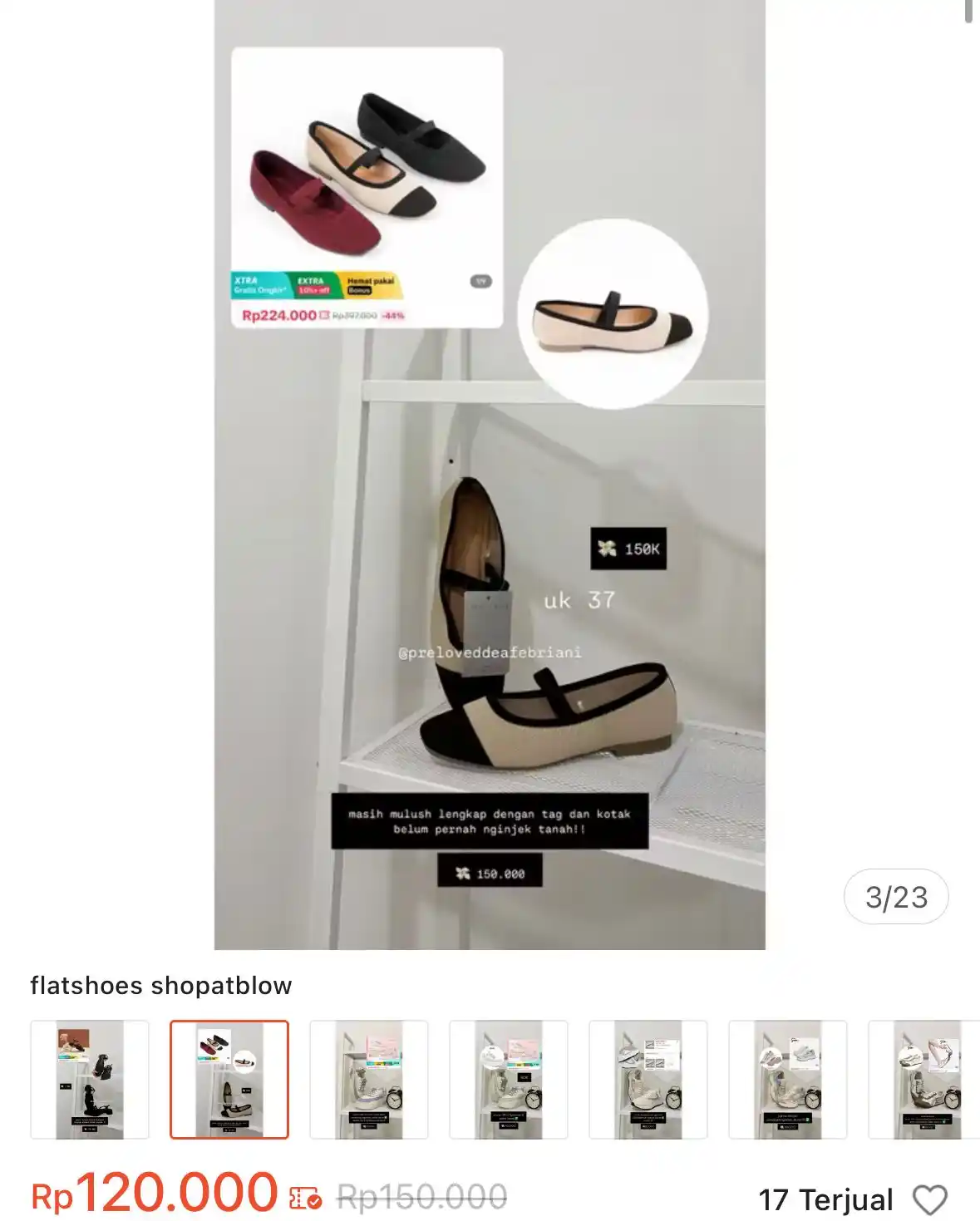 GROUP INFO LIVE PRELOVED 🎀 post