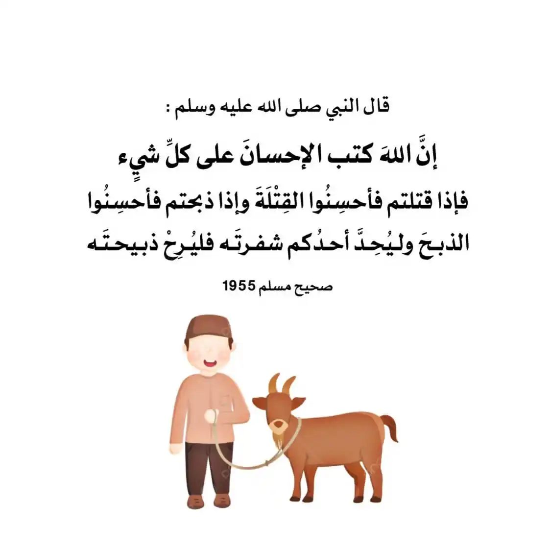 في رحاب السُنة 🌿 post
