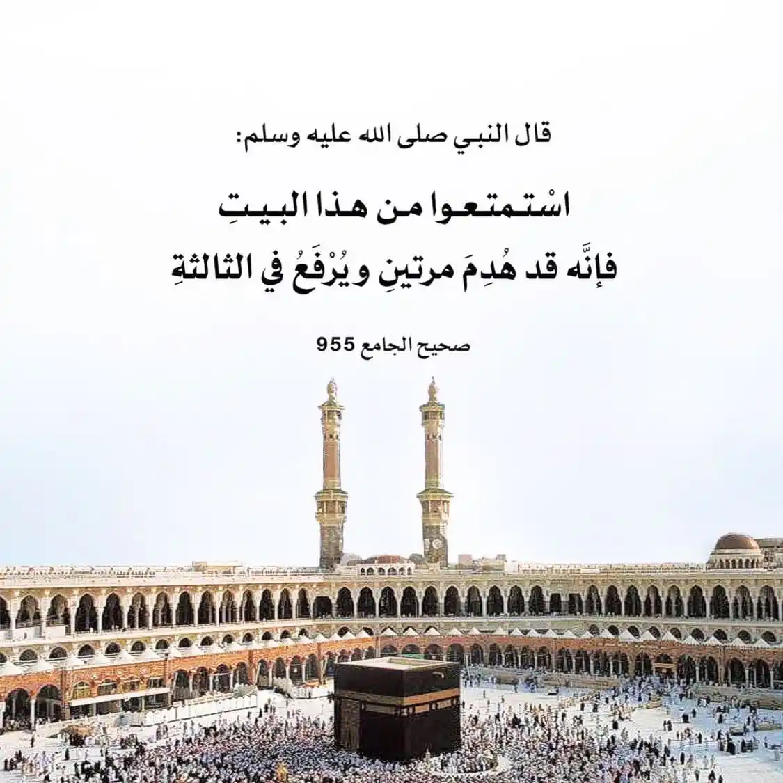 Image from في رحاب السُنة 🌿: <a class="text-blue-500 hover:underline cursor-pointer" href="/hashtag...