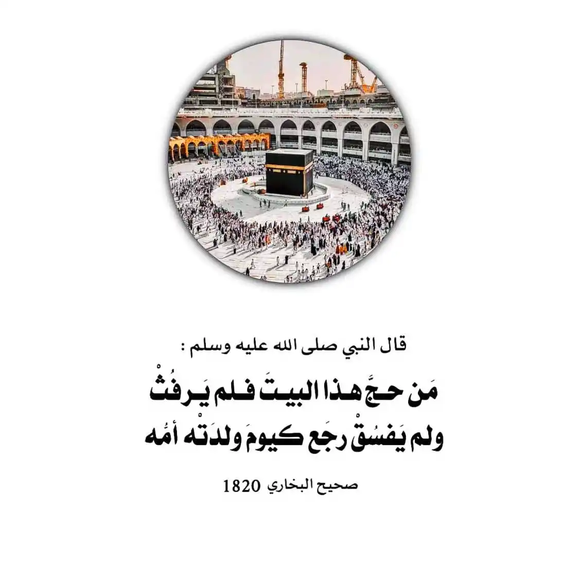 في رحاب السُنة 🌿 post