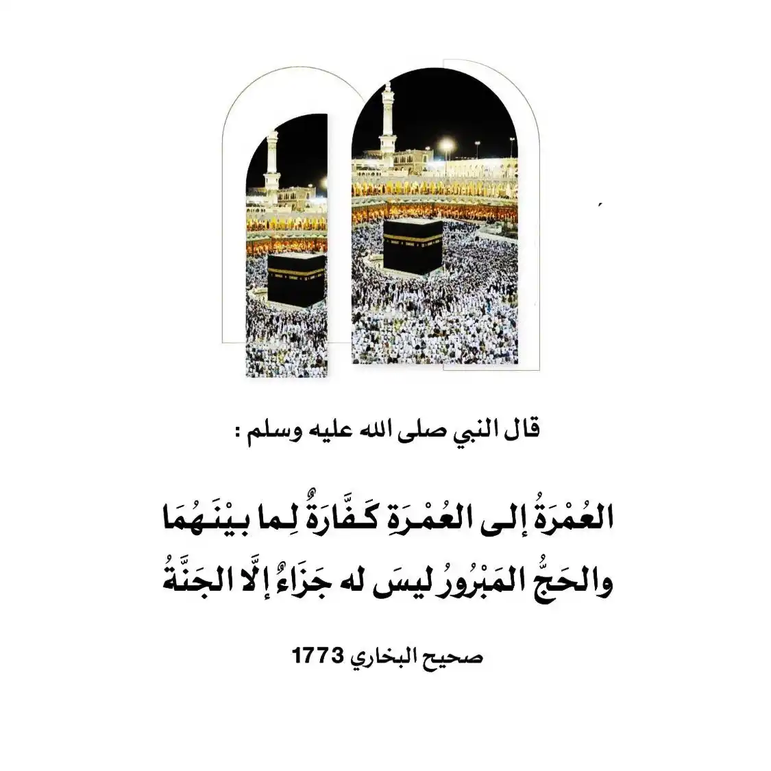 في رحاب السُنة 🌿 post