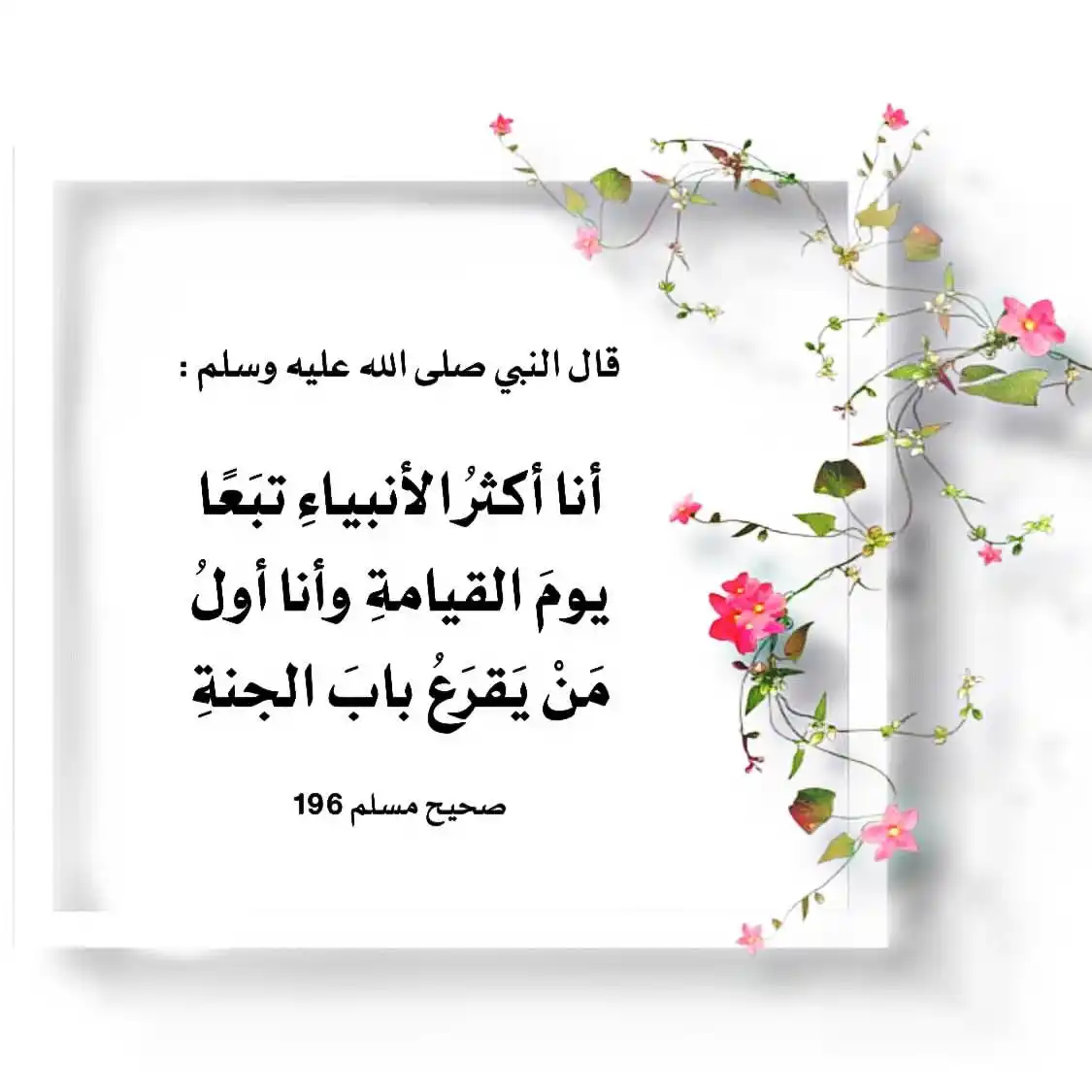 في رحاب السُنة 🌿 post