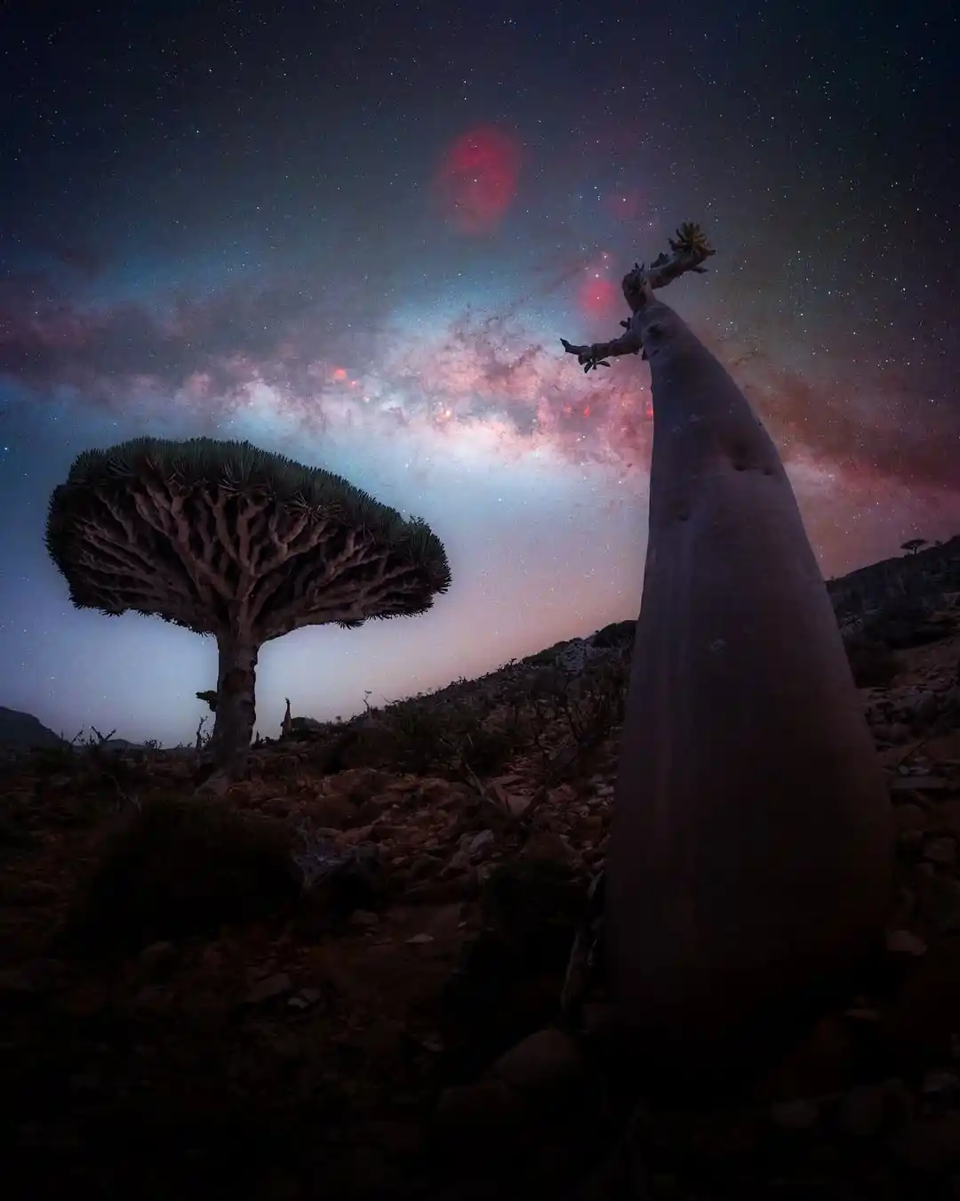 Image from المصدر أونلاين - أخبار اليمن: سقطرى كما لم ترَها من قبل.. عدسة مصور فلكي تفتح نافذة على مجرة درب الت...